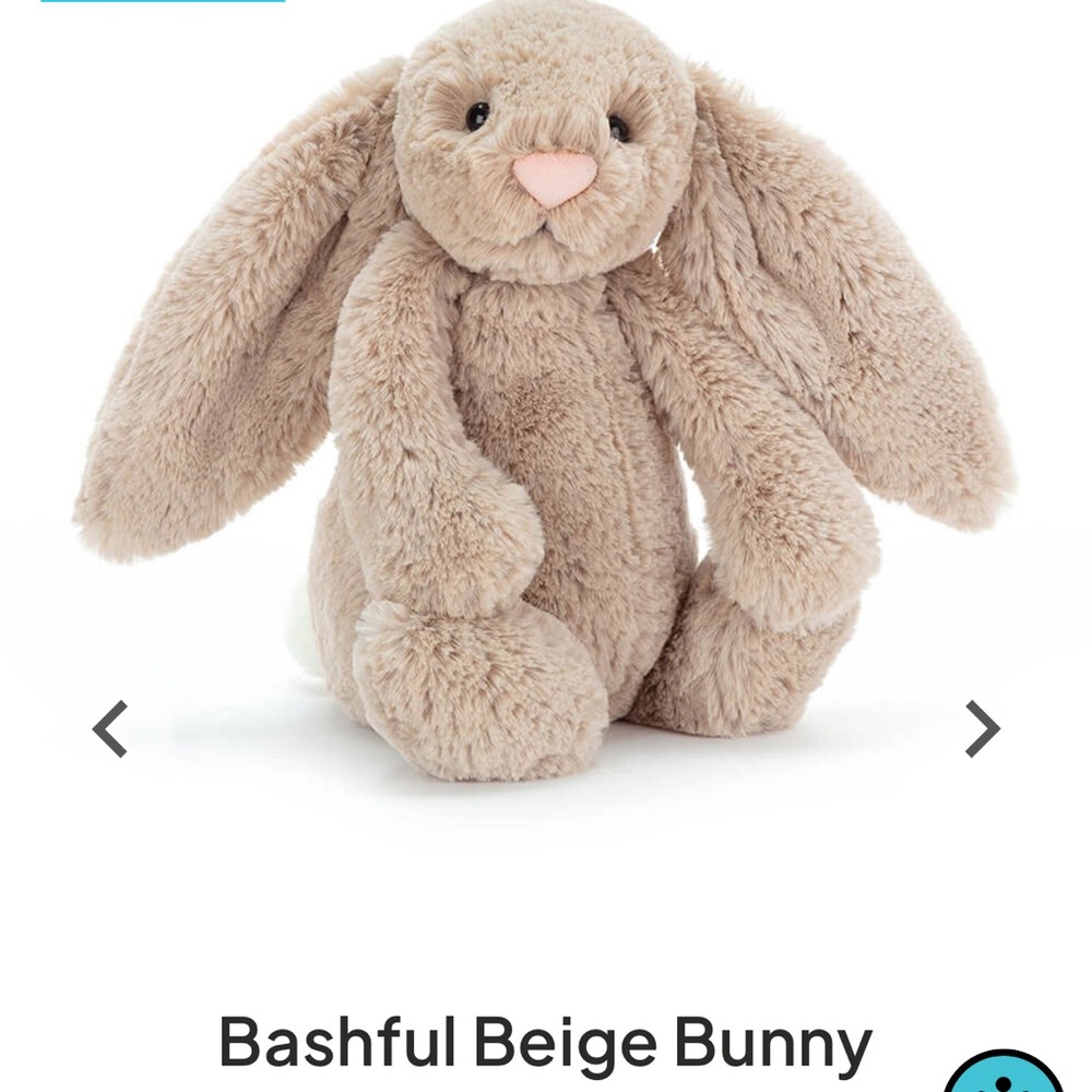 Jellycat bashful beige bunny